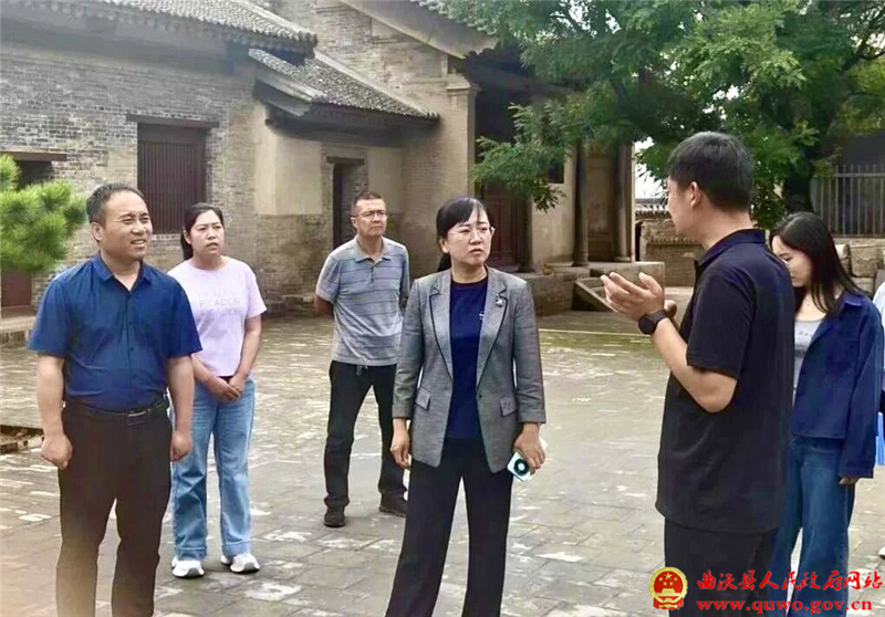 迟红霞检查非煤矿山安全、文物保护、地质灾害整治及防汛工作.jpg