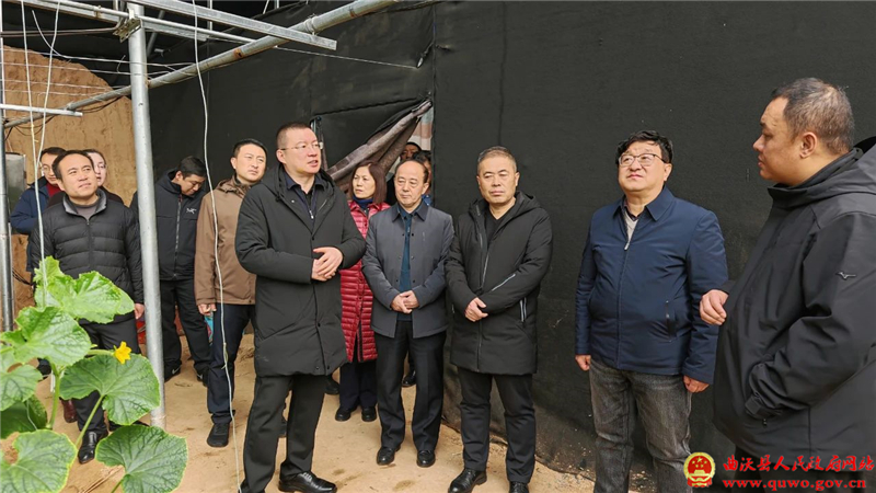 省农业农村厅督导检查曲沃县国家现代农业产业园中期规划评估工作.jpg