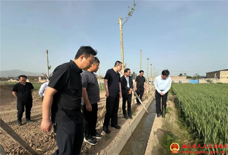 孙惠生调研抗旱保灌工作1.jpg