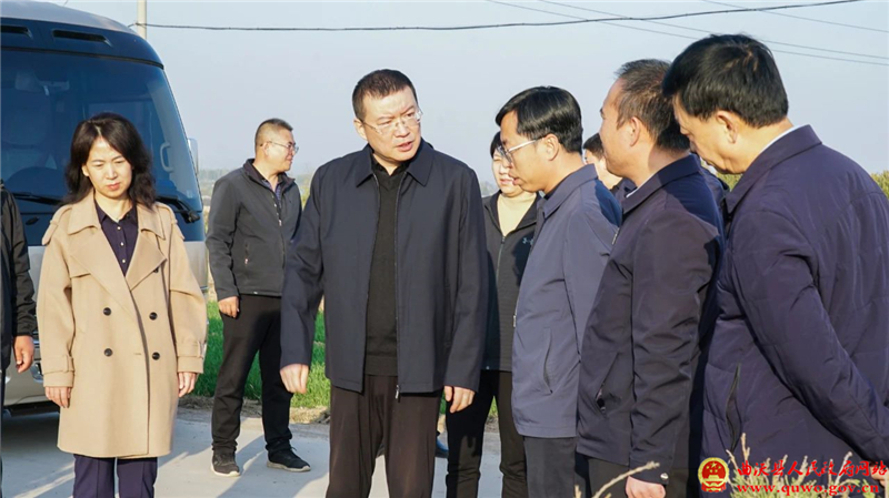 吴滨调研高标准农田和乡村振兴、农村集体经济、秋冬季植绿护绿等工作2.jpg