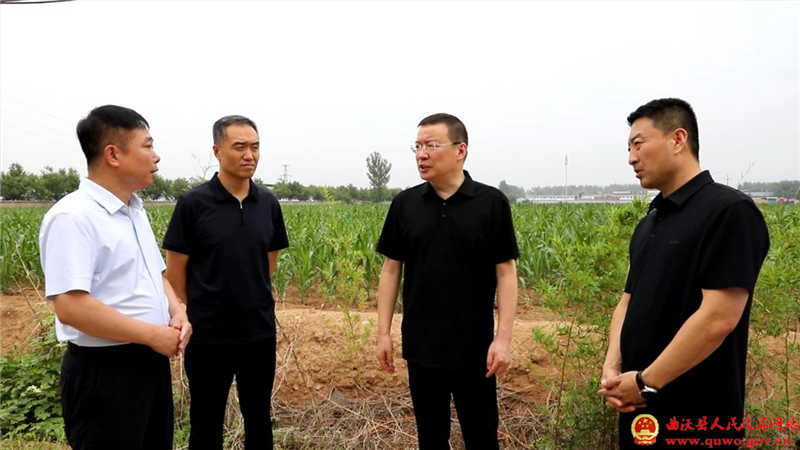 吴滨调研农业高质量发展、耕地保护、生态环境保护等工作并开展巡田2.jpg
