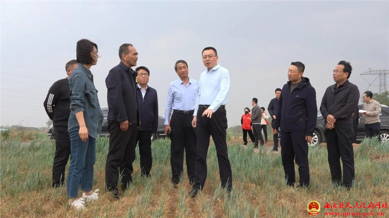 孙惠生深入高显镇调研春浇春灌工作.jpg