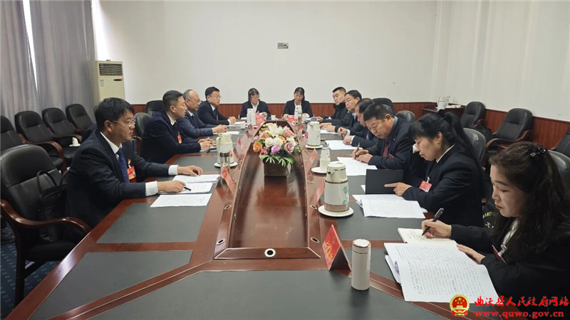 人大代表分团讨论政府工作报告2.jpg