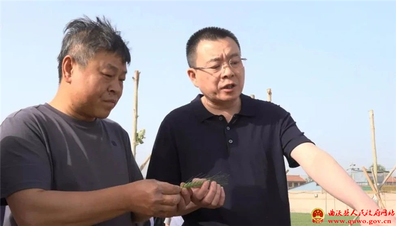 孙惠生调研抗旱保灌工作.jpg
