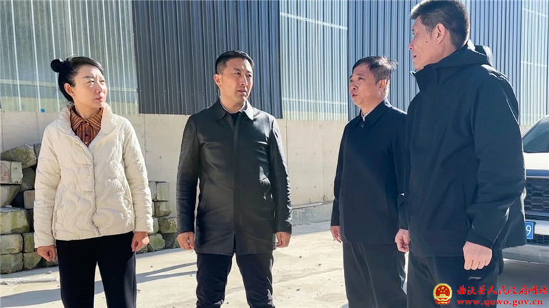樊奇选检查杨谈乡非煤矿山安全生产工作.jpg