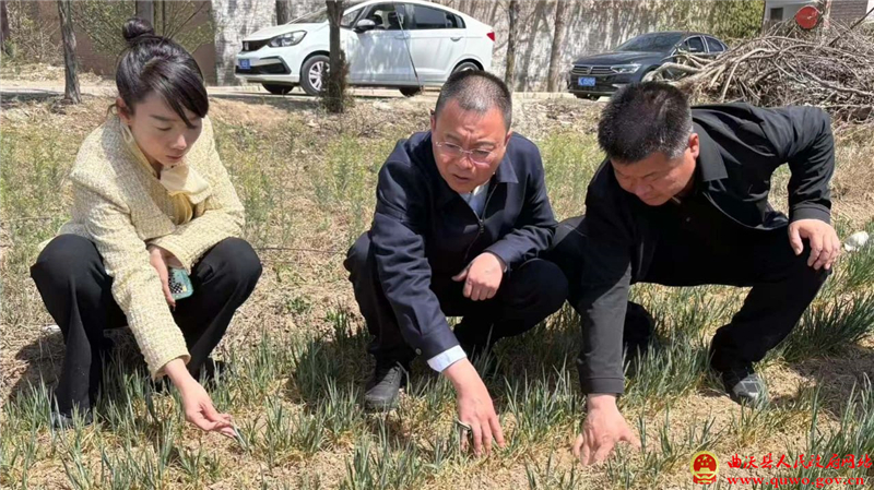 孙惠生调研抗旱工作.jpg