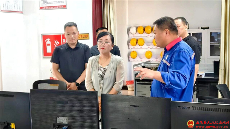 迟红霞带队检查生态环境保护工作.jpg