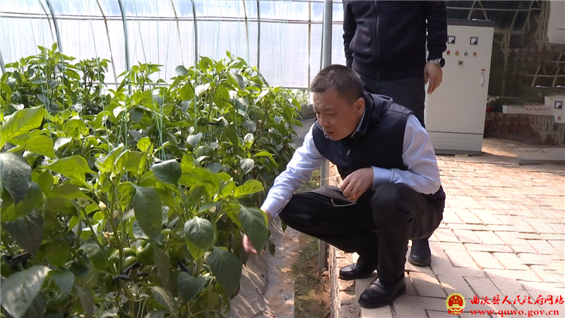 孙惠生调研国家现代农业产业园拟定项目建设情况1.png