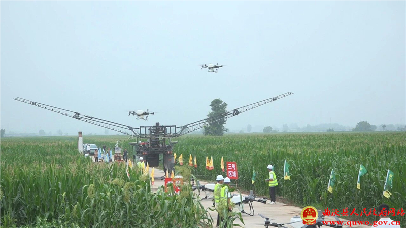 山西省农作物重大病虫害防控应急演练在曲沃举行2.jpg