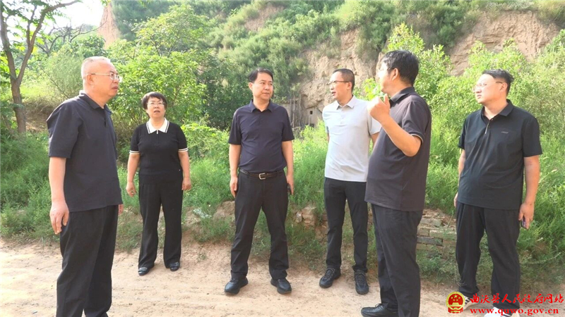 李峰等领导在里村镇调研并检查安全生产工作1.jpg