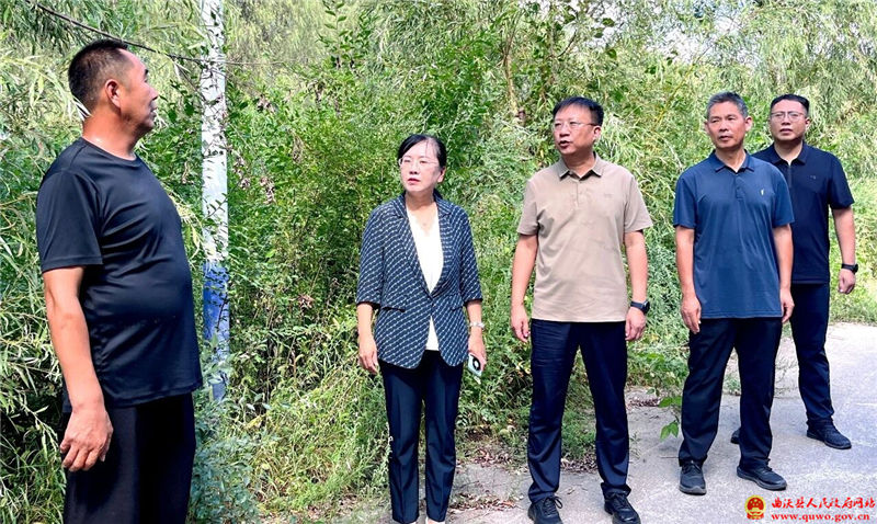 张凯、迟红霞、丁全保在乐昌镇检查安全工作.jpg
