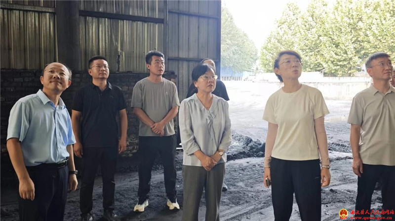 迟红霞检查生态环境保护工作.jpg 迟红霞检查生态环境保护工作.jpg
