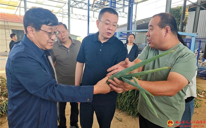 孙惠生调研特优农业提质增效项目建设工作.jpg