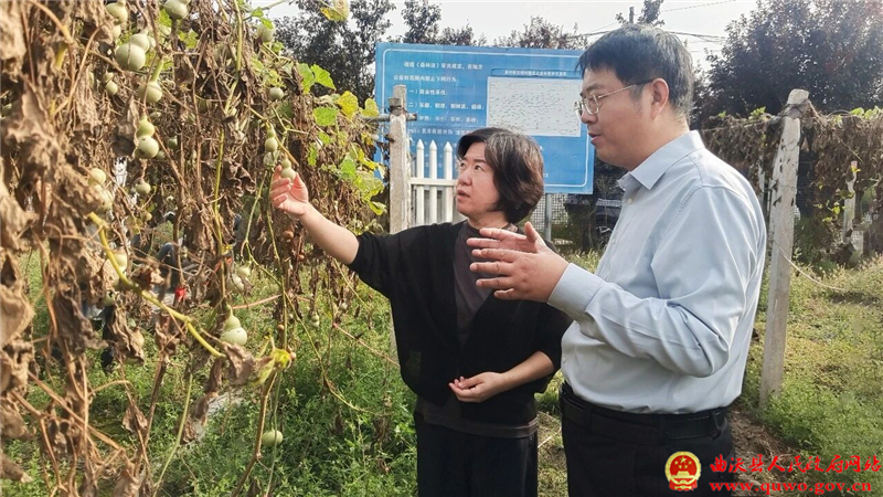 王婧在里村镇调研.jpg