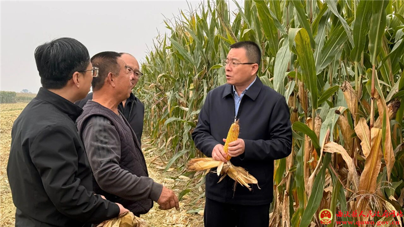 孙惠生调研秋粮“双抢一保”工作.jpg