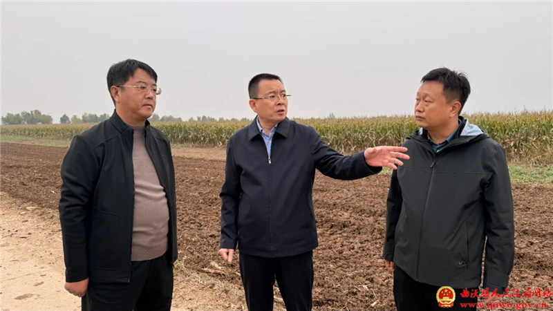 孙惠生调研秋粮“双抢一保”工作1.jpg